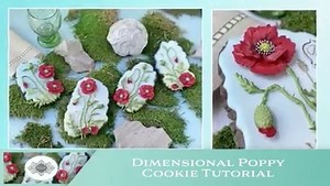 1K views · 165 reactions | SNEAK PEEK AND NEW SITE LAUNCH GIFT! Hi,...