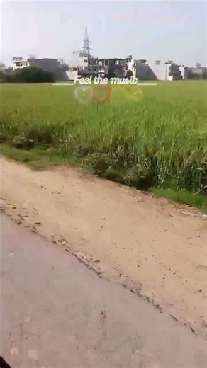 Feel the music.....🤍❤️🙂✨