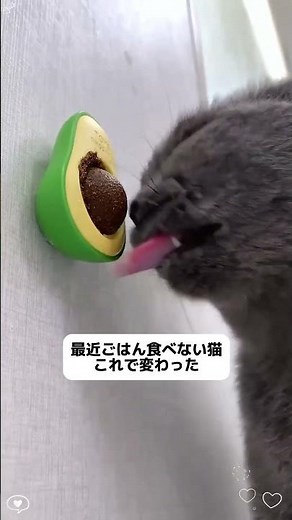 猫が夢中になるアボカド型キャットニップトイ🥑🐱 360°くるくる回って、飽きないおもちゃ！#猫のいる暮らし#猫好きさんと繋がりたい#猫おもちゃ#キャットニップ#癒し動画