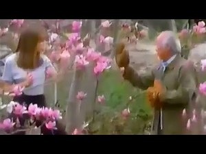 The Next Karate Kid (1994) - TV Spot 1