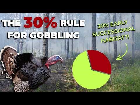 Scale of management for turkeys | Ep 156