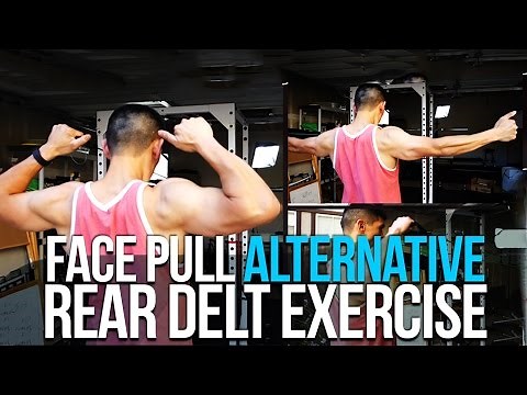 Face Pull Alternative Exercise | Rear Delt Shoulders