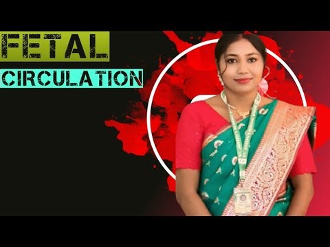 Fetal Circulation | Embryology| Nursing Lecture