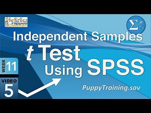 How to do an Independent Samples t Test in SPSS (11-5)
