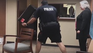 Police officer's hilarious attempt to catch snake goes viral