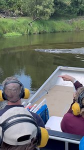 Meet Big Ed! 🐊 This big ol’ Peace River alligator, lovingly known as Big Ed, is a regular on our airboat tours! You’ll usually catch him chilling on the sandbar as we head out to the fossil grounds. Just part of the wild adventure that makes every trip unforgettable! #FossilJunkies #PeaceRiver #AirboatTour #FossilHunting #FloridaWildlife #AlligatorSighting #BigEd #ExploreFlorida #OutdoorAdventure #FloridaNature #FossilTour #EcoTourism #RiverAdventure #DiggingAdventures #FloridaFossils #AirboatA