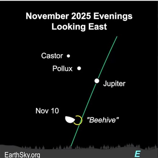 5.2K views · 150 reactions | Hi stargazers! Late this evening, the...