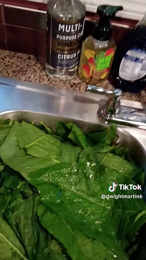 How to Cook Poke Salad Safely