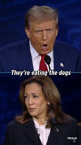 Mmmmmm... delicious, mouthwatering, cat and dog gaahhhguphafsushfg 🤤🤤 | WatchMojo