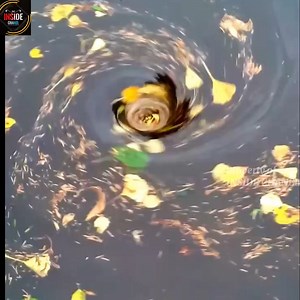 21K views · 479 reactions | A clogged drain caused the corner across the street to flood this morning. | Inside Chanel | Facebook