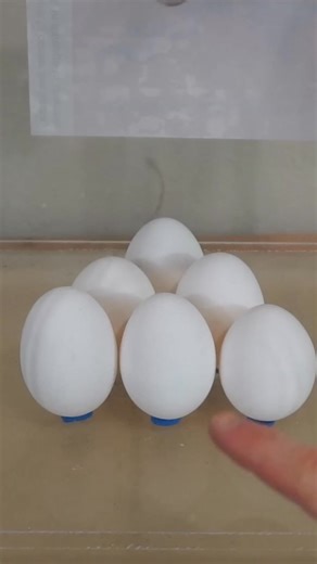 51K views · 340 reactions | what happens to eggs in a vacuum chamber? #experiment #vacuum #physics #science #physics #eggs #reels | The Action Lab | Facebook