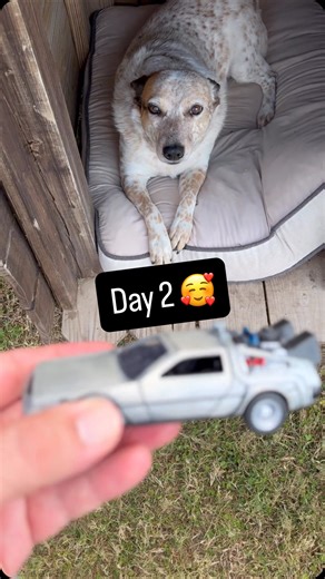 James Blanchard | Day 2 of me asking Sydney what random things are! The DeLorean time machine is one of those super iconic pieces of movie history. In the... | Instagram