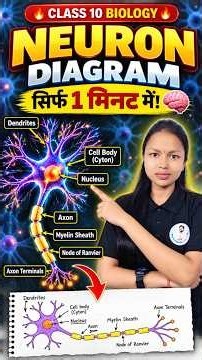 🧠 Neuron Diagram सिर्फ 1 Minute में! | आसान Trick से सीखें | 3khansir