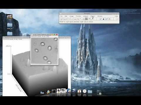 Exemplos ImageJ: Surface Plot 3D