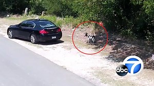 888K views · 10K reactions | It's video that will make you furious. A...