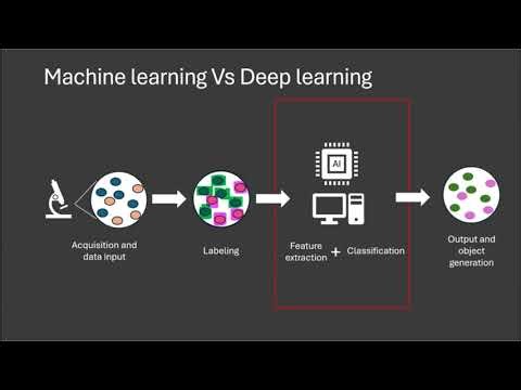 Overview of AI and it's applications in image analysis