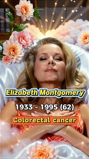 Remembering the Bewitched Cast: 7 Stars We Lost from the Magical Sitcom