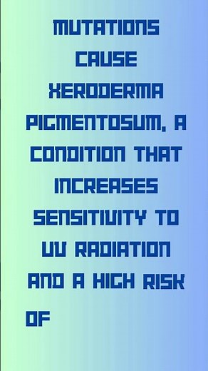 XPC Xeroderma Pigmentosum Complementation Group C