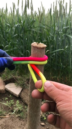 Simple rope knots skills #viralvideo 👍