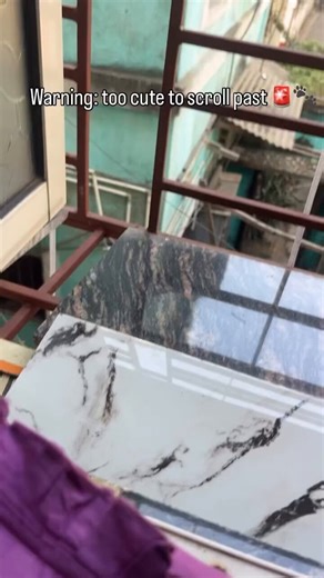 No começo fiquei com medo de que ele caísse pelas grades. Então eu vi que era impossível