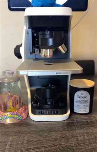 Inhaler crystals under the microscope, a stunning close-up of hidden structures