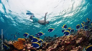 Man swims underwater in the tropical sea with school of fish
