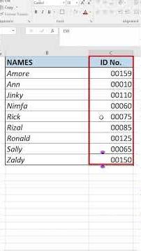 Excel Deleting Your Zeros? Do This Instead #excel #shorts