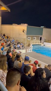 647K views · 1.9K reactions | The #TFCUTeam took over the Oklahoma City Zoo and Botanical Garden this weekend for our annual employee appreciation event! Employees and their families enjoyed after hours access to the entire zoo, including up close encounters with the animals.  We're so glad our employees from across the state could join us at this great event. The sea lion presentation was a crowd favorite! | Tinker Federal Credit Union | Facebook