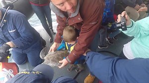 47K views · 855 reactions | This past Saturday, the crew and friends of Coast Guard Cutter Cushing shelled out support for 27 rehabilitated sea turtles, returning them back to the waters off the North Carolina coast. Cowabunga dudes! | U.S. Coast Guard East | Facebook