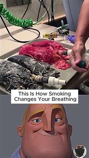 Healthy Lungs vs Smoky Lungs: Breathing Difference