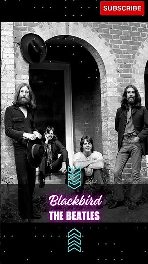 The Beatles - Blackbird #blackbird #acoustic #thebeatles #music #lyrics #rock