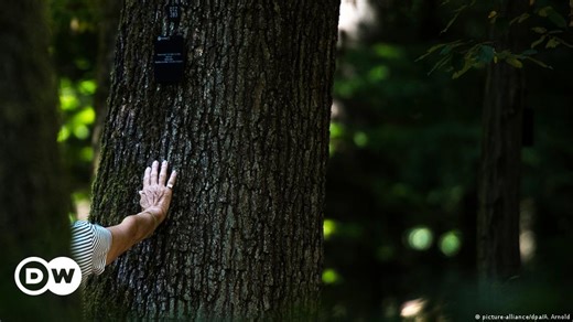 "Hambach Forest Stays!" Germany and the Coal Industry