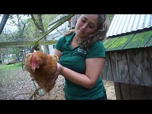 A Day in the Life of a Naturalist.