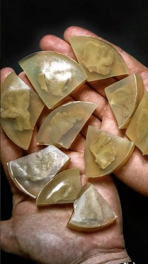 천재가 죽으면 벌어지는 일