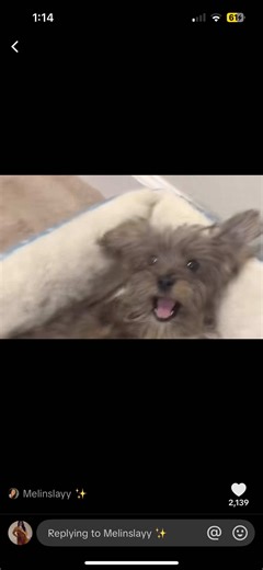 Bake a Cake with Me: Testing a New Mixer