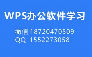 WPS（word)实操表格