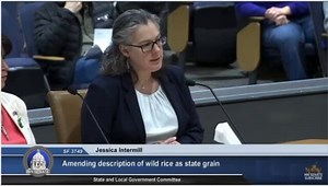 Minnesota Democrats are debating whether Wild Rice has an inherent right to life.Two years ago they voted for abortion to be legal up to the moment of birth.