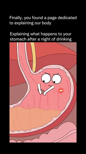 Explaining Our Body on Instagram: "Heavy drinking can cause immediate and sometimes severe stress on the digestive system, especially the stomach. Alcohol is a gastric irritant, meaning it directly damages the protective lining of the stomach that normally shields it from strong acids. When large amounts of alcohol enter the stomach, acid production increases while the protective mucus barrier weakens, creating the perfect conditions for inflammation, ulcers, and internal injury. One of the firs