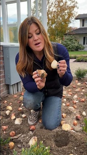 Which Way Do You Plant a Flower Bulbs? 🌷