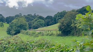13K views · 570 reactions | 60007 ‘Sir Nigel Gresley’ passing Greenway and Torre station with ‘The English Riviera Express’ Locomotive Services Group Saphos Trains | Railcam | Facebook