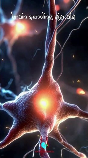 Inside the Human Brain: Ultra HD 3D Animation of Neural Activity & Impulse Pathways #shorts #brain