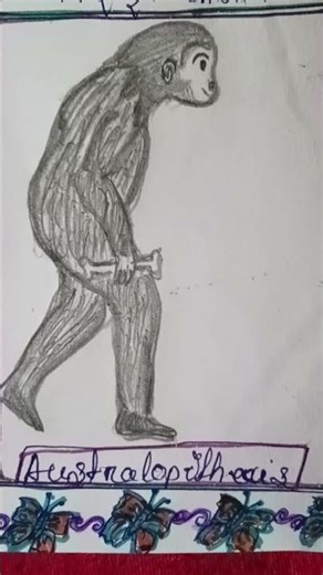 Evolution of man drawing