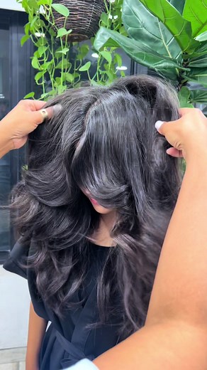 Cellophane Haircut Transformation 2024