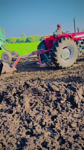 Massey Ferguson 375 millat tractor k sath hum farm clean kar rhy hain.Ager video achi lagy to ek bar like share and follow lazmi kary #UKtiktok #DesiInUK #LifeInUK #PakistaniInUK.TikTok original content ko promote karta hai