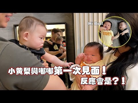 小黄梨与Dudu的第一次見面！小黄梨主動和Dudu拉手！C&M新手爸媽遇到的問題