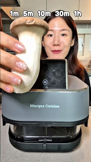 시간 먹방 버섯 1분부터 1시간 굽기 #mukbang