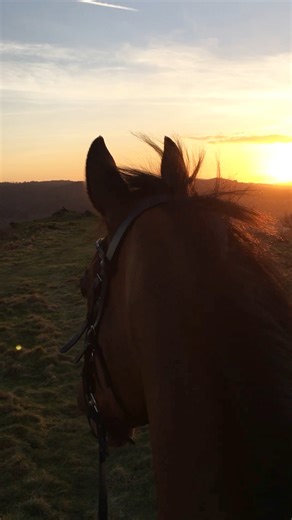 Surely one of the most anticipated days of the year for equestrians!? The clocks go forward an hour tomorrow morning and will mark the start of longer, lighter evenings! What will you and your horses be doing with the extra hour of daylight in the evenings? | NAF