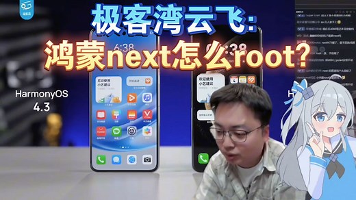 极客湾云飞：鸿蒙next怎么root？