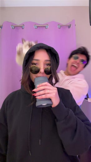 The Cat Who Stole the Show: A Special Performance