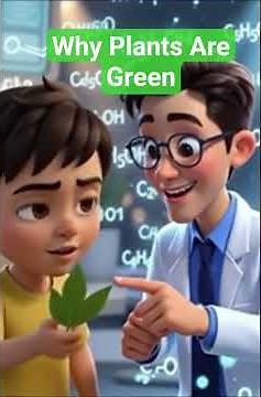 Plants Choose Green ...Here's Why ?|| Chlorophyll ||Photosynthesis